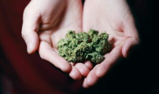 Cannabis Legalization: CBD’s Health Benefits